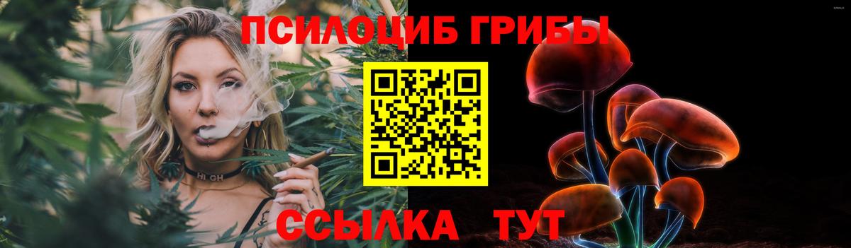Галлюциногенные грибы Psilocybine cubensis Находка